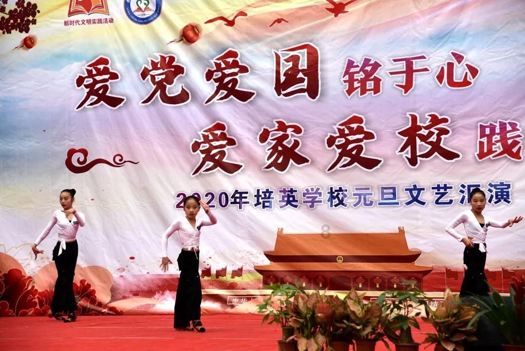 想知道养狗后你的私人空间会变成什么样吗?至少你不孤单了