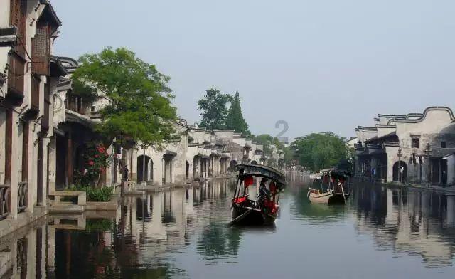 救援可爱小松鼠